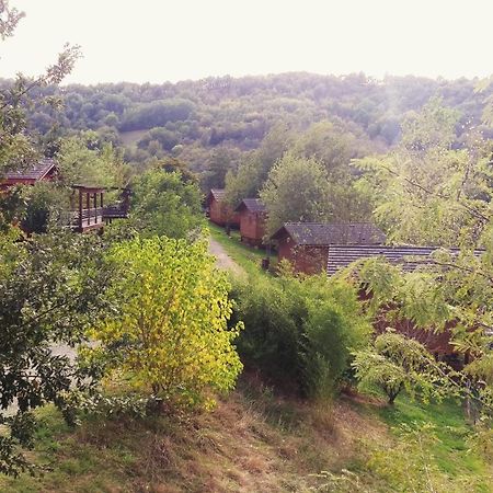 Saint-Cyprien-sur-Dourdou La Ferme Du Duzouヴィラ エクステリア 写真