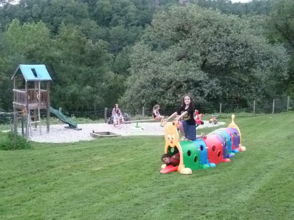 Saint-Cyprien-sur-Dourdou La Ferme Du Duzouヴィラ エクステリア 写真