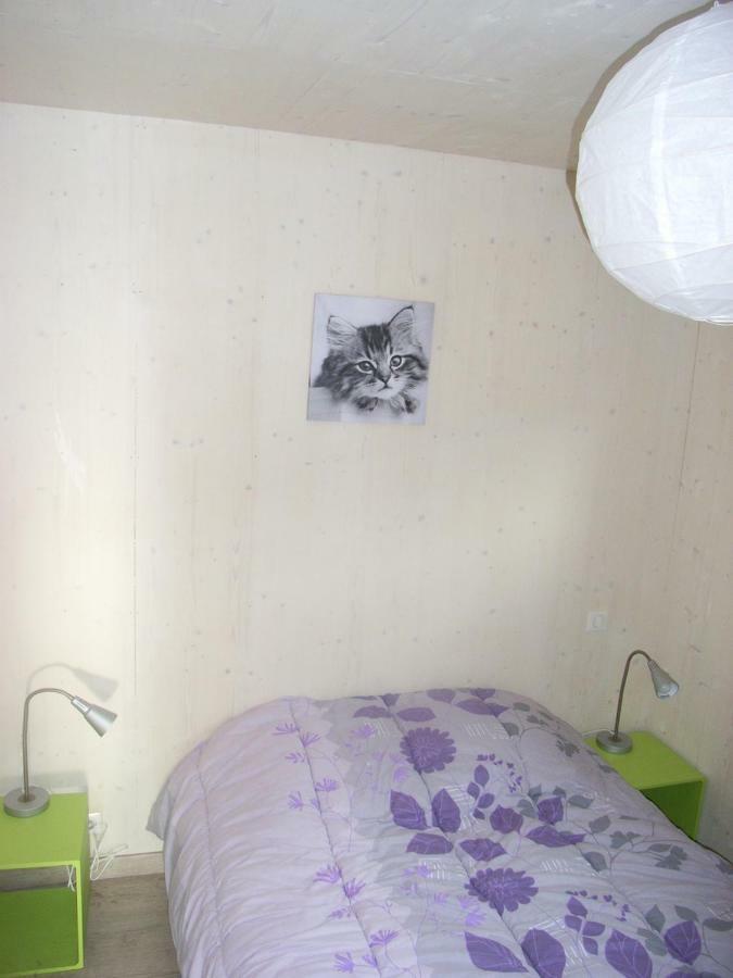 Saint-Cyprien-sur-Dourdou La Ferme Du Duzouヴィラ エクステリア 写真