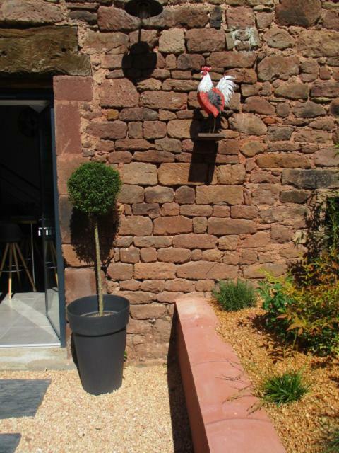 Saint-Cyprien-sur-Dourdou La Ferme Du Duzouヴィラ エクステリア 写真