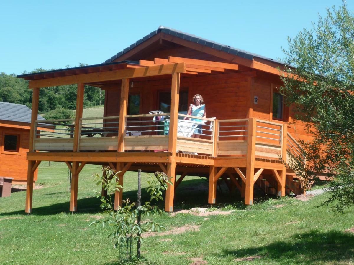 Saint-Cyprien-sur-Dourdou La Ferme Du Duzouヴィラ エクステリア 写真